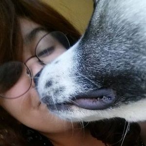 Meet your Posher, Addison